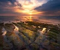 mk体育登录入口-MK体育，开启你的数字体育精彩旅程