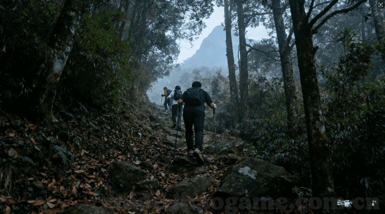 世界杯竞猜哪里买票-世界杯竞猜，购票指南与乐趣分享