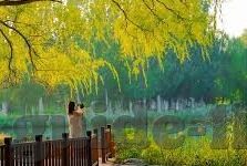 足球体育比分500-足球体育比分500，数据背后的激情与梦想